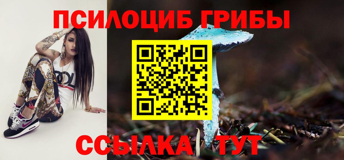 Галлюциногенные грибы прущие грибы Приморско-Ахтарск